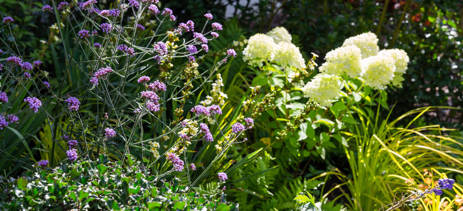 Hampstead Flowering Front Garden 10