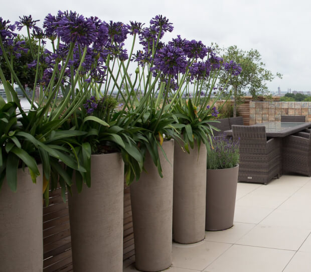 Mayfair Large Exclusive Roof Garden - thumbnail