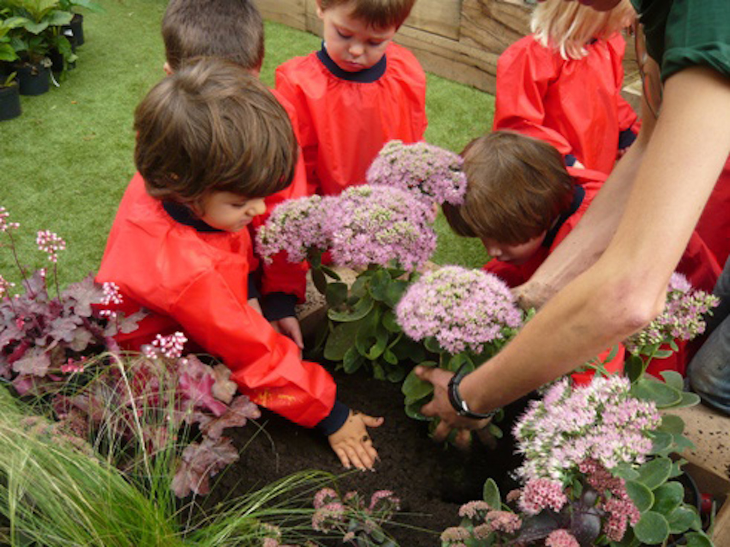 School Landscaping and Playground Design