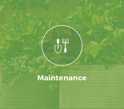 Garden and Grounds Maintenance in London and the Home Counties