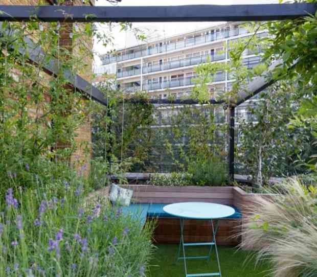 Pimlico Roof Garden - thumbnail