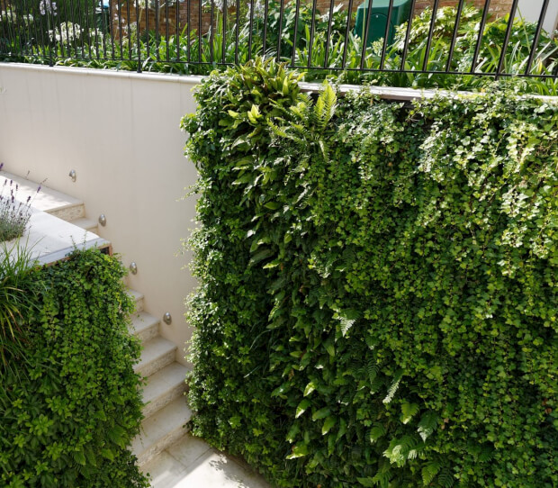 St John's Wood Luxury Back Garden with Green Walls - thumbnail