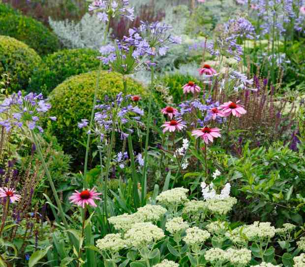 Putney Flowering Front Garden - thumbnail
