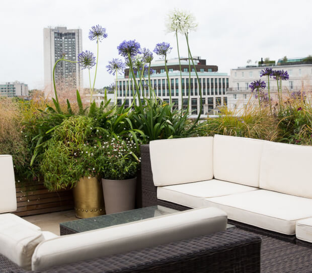 Mayfair Large Exclusive Roof Garden - thumbnail